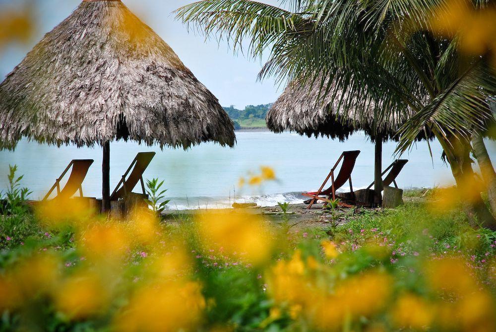 Iguana Lodge Beach Resort Puerto Jiménez Exteriör bild