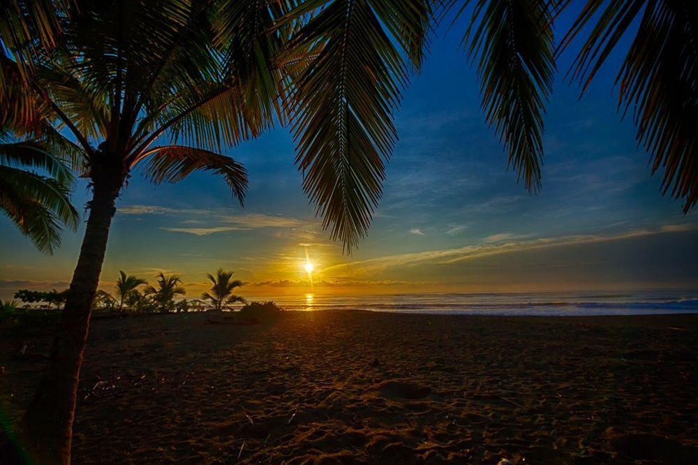Iguana Lodge Beach Resort Puerto Jiménez Exteriör bild