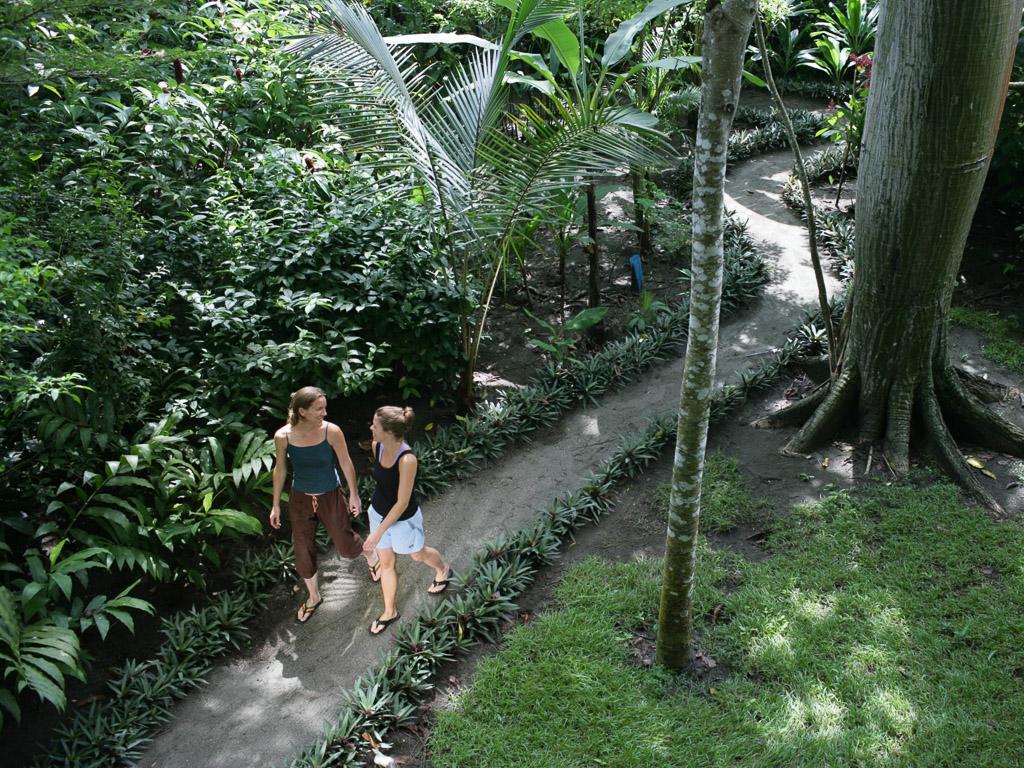Iguana Lodge Beach Resort Puerto Jiménez Exteriör bild