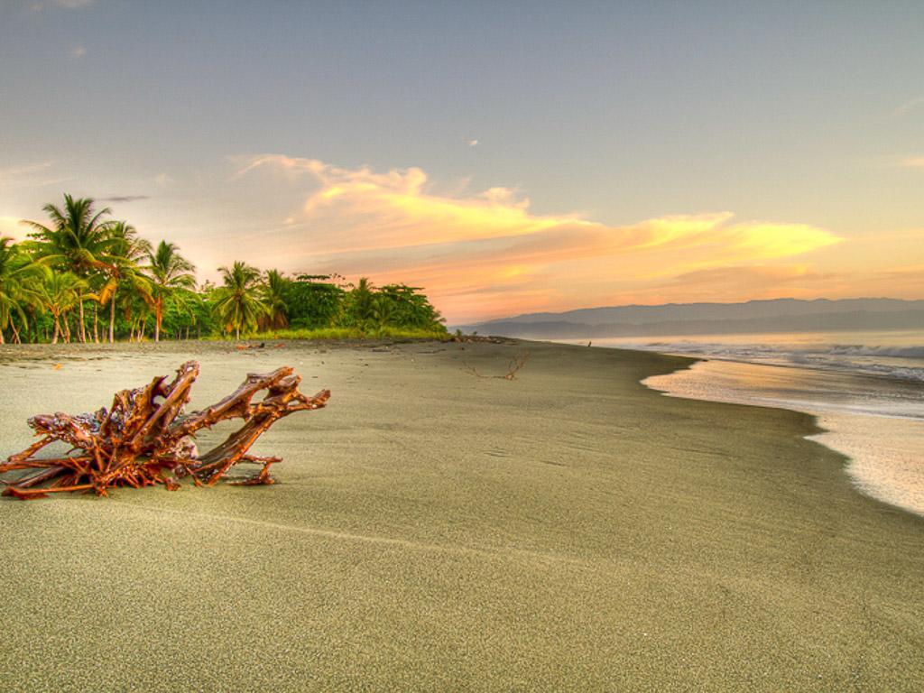 Iguana Lodge Beach Resort Puerto Jiménez Exteriör bild